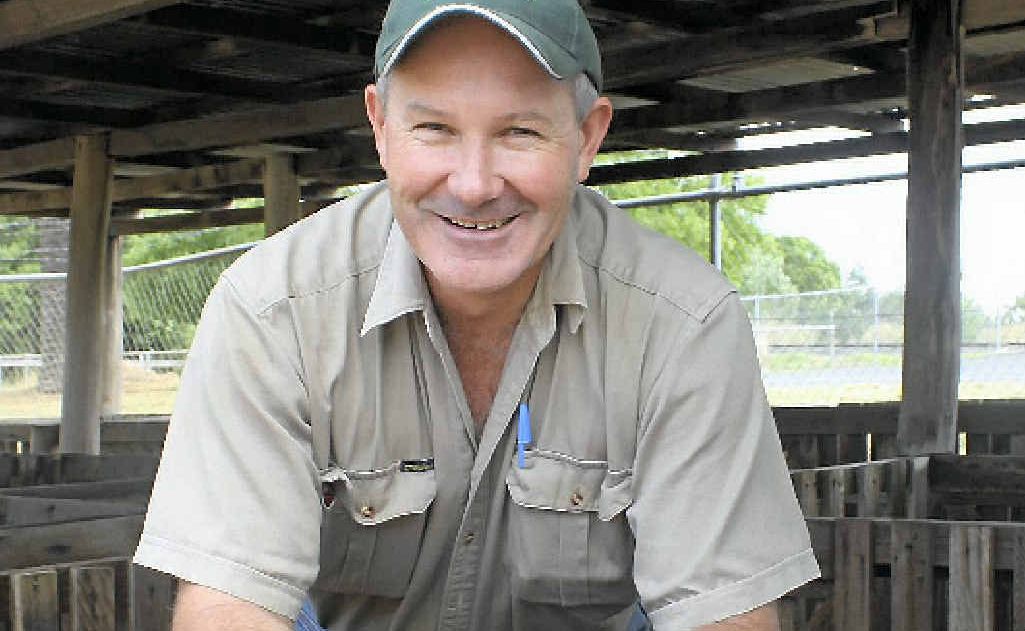 Prime lamb and sheep steward Brett Shelley. Prime lamb and sheep steward Brett Shelley.